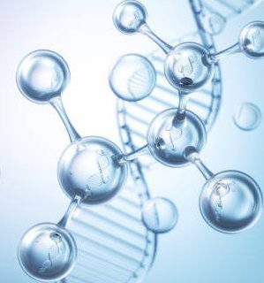 istockphoto-1453942652-612x612 (1)